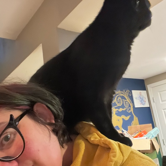 Meet your Posher, Kelly - Picture 3 of 5